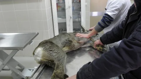 Yasak Avlanma Yapan Avcılara Para Cezası