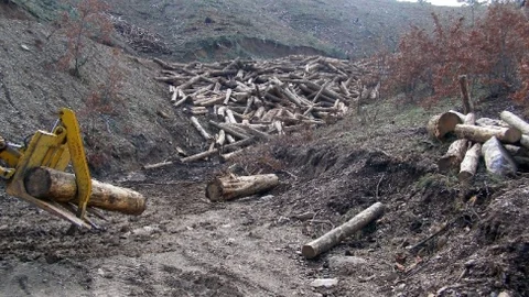 Orman İşletmeden Yatağan'a 4,5 Milyon Lira