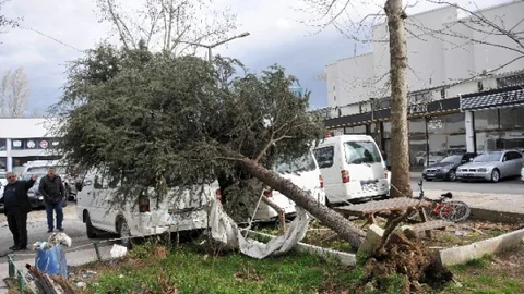 Lodos Hayatı Felç Etti