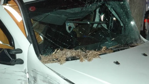 Ağaca Çarpan Sürücü Aracın İçinde Sıkıştı