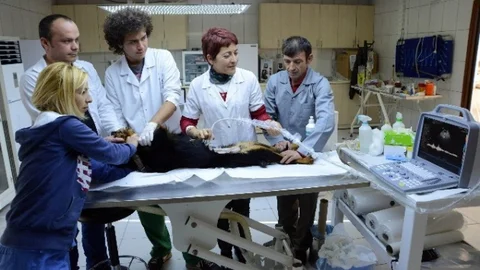 Muratpaşa Veterinerliğe Ultrason Cihazı