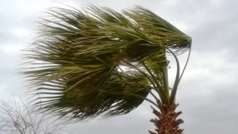 Ayvalıkta Şiddetli Lodos Balıkçı Teknelerini Yerle Bir Etti