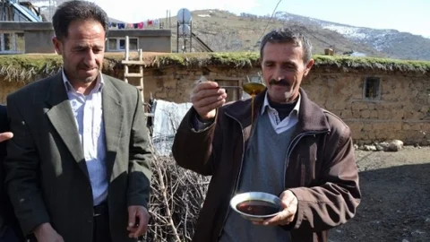 Don Pekmezi De Vurdu