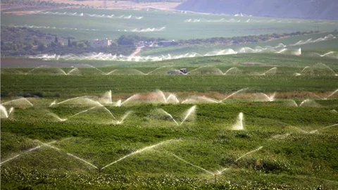 Atık sular sulamada kullanılacak