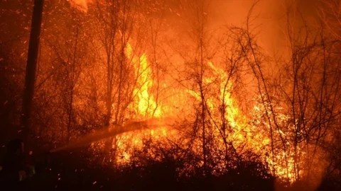 Samsun'da 8 Ayrı Bölgede Orman Yangını Meydana Geldi