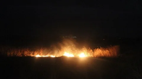 Beyşehir'de Sazlık Yangını