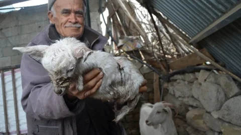 Dört Ayağı Olmayan Oğlak Doğdu