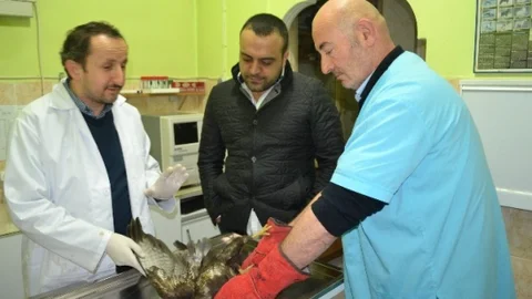 (Özel Haber) Hasta Kartala Vatandaş Sahip Çıktı