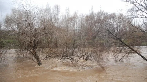 Lodos Ve Sağanak Yağış 18 Tekneyi Batırdı