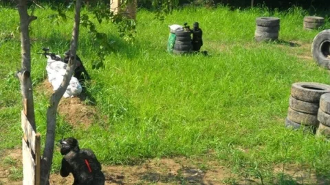 Fatsalı Gençlerin Yeni Tutkusu 'paintbal'