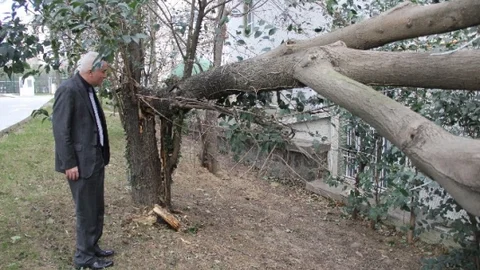 Samsun'da Lodos 2 Kişiyi Hastanelik Etti