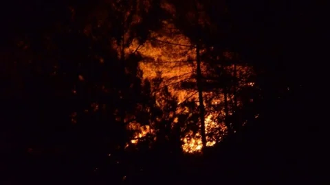 Yakakent'te Orman Yangını Sürüyor