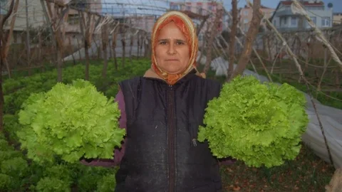 Seracıları Fırtına Vurdu