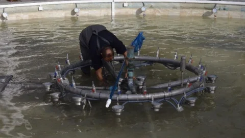 Düzce'de Havuzlar Temizleniyor