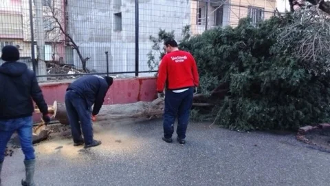 Yunusemre Belediyesi Yara Sardı