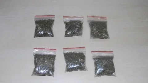 Bolu'da Uyuşturucu Operasyonu 20 Gözaltı