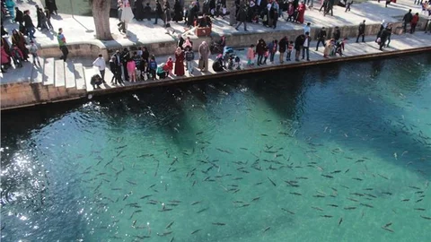 ''Suriye'deki savaş Şanlıurfa turizmini etkilemedi''