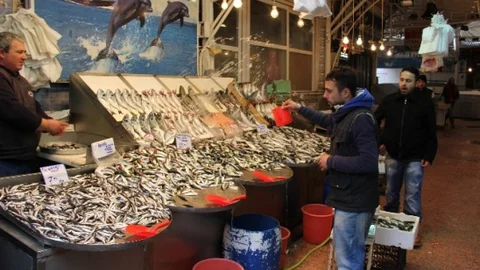 Marmara'da Lodos Balıkçıları Da Vurdu
