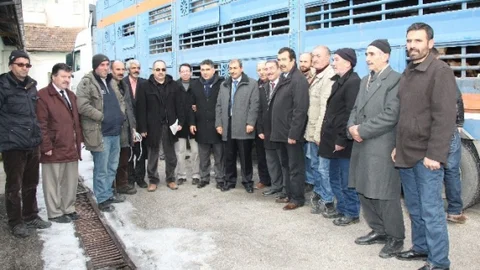 Elazığ'da 20 Yetiştiriciye Damızlık Boğa Dağıtıldı