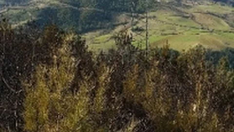 Yedaş'tan ‘Yangın' Açıklaması