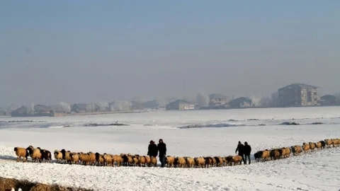 Çaldıran'da Zorlu Yaşam