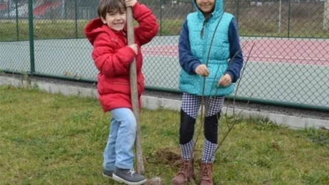 Gönüllü Gençler Fidan Dikti