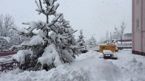 Yedisu'da Kar Esareti