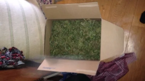 Jandarmadan Uyuşturucu Baskını