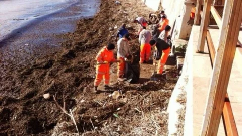 Süleymanpaşa Belediyesi Lodostan Oluşan Kirliliği Temizlemeye Devam Ediyor