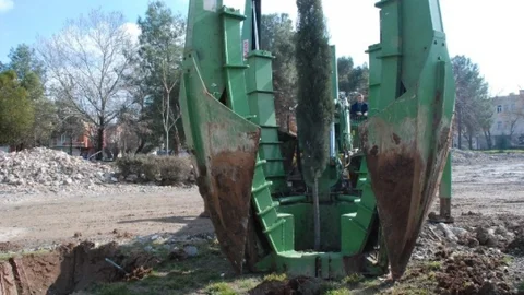 DSİ Alanındaki Ağaçlar Titizlikle Okullara Taşınıyor