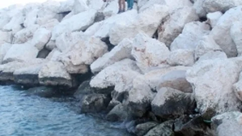 Ölü Carette Caretta Sahile Vurdu