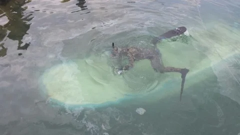 Lodos Fırtınasında Batan Tekneler Kurtarıldı