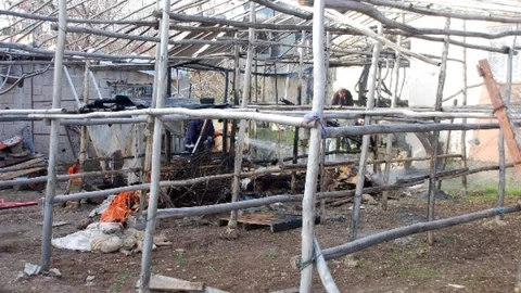 Adıyaman'da Odun Yangını Paniğe Neden Oldu