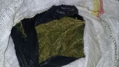 Bingöl'de Uyuşturucudan 4 Kişi Tutuklandı