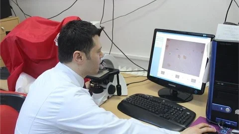 Mantar zehirlenmesi idrarla tespit edilebilecek