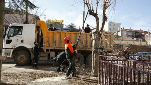 Odunpazarı'nda Ağaç Budama Ve Bakım Çalışması