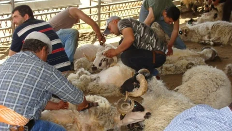 Adü Ziraat Fakültesi Öğretim Üyesi Prof. Dr. Karaca'dan Açıklama