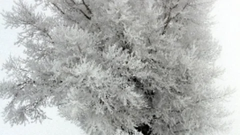Erzurum'da DÜşen Kırağı İzlenmeye Değer Manzaralar Oluşturdu
