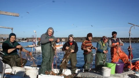 Giresun'un Balıkçı Kadınları