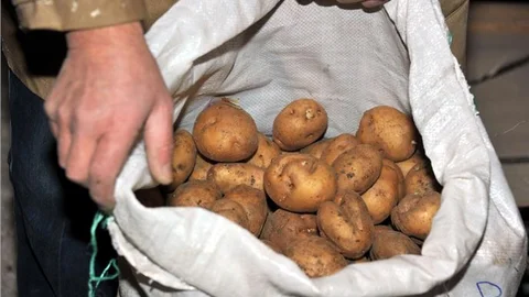 Başçiftlik ''tescilli patates''le kalkınacak