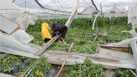 Mersin'de fırtına ve hortum hayatı olumsuz etkiledi