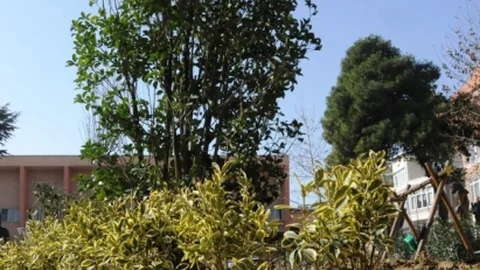 Süleymanpaşa'da Parklar Her Dönem Yeşil Kalacak