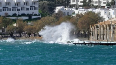 Fırtınadan Kaçan Martılar Limana Sığındı