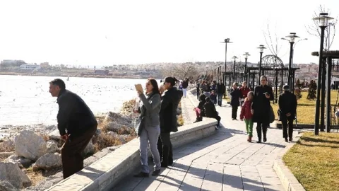 Ankaralılar Mogan'a Akın Etti