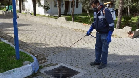 Foça'da Haşereye Geçit Yok