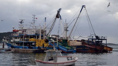 Suriyeli 22 Mülteciyi Ölümden Balıkçılar Kurtardı