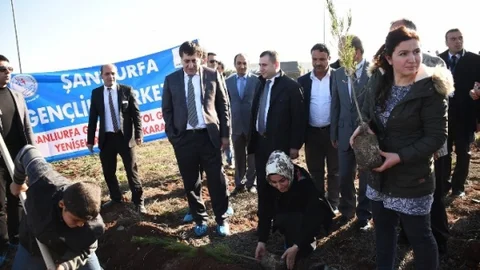 Gap Havaalanı'nda 3 Bin Adet Çam Fidanı Dikildi