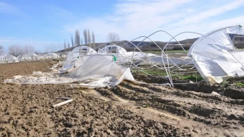 Lodostan Seraları Etkilenen Çiftçilere Tekirdağ Büyükşehir Belediyesinden Destek