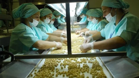 Düzce'den 30 Bin 718 Ton İç Fındık 14 Bin 252 Ton Tavuk Ayağı İhracatı Yapıldı