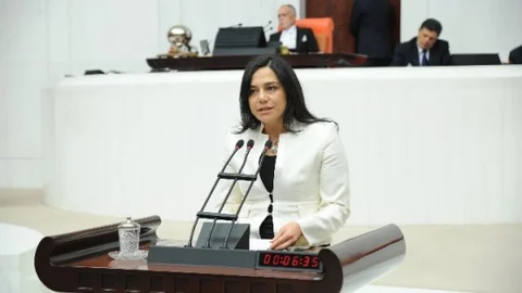 CHP Tekirdağ Milletvekili Yüceer Sera Üreticilerinin Zararını TBMM'de Dile Getirdi